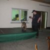 Fischerfest 2012