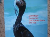 Kormoran-Demo